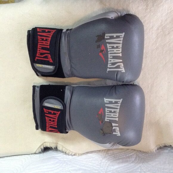 VTG Everlast 14 oz. Training Gloves, USED/Still have lots of useage.  Pro Style - Picture 2 of 4